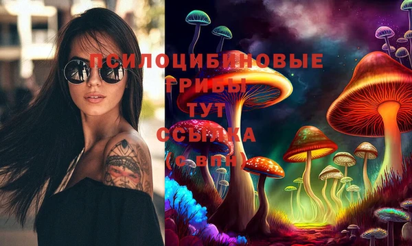 ALPHA PVP Покровск