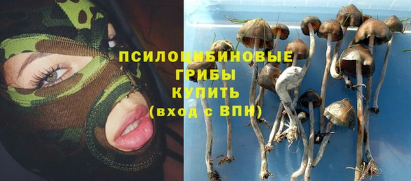 винт Абинск