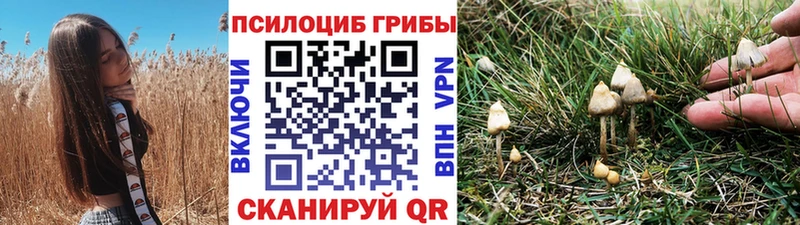 ссылка на мегу зеркало  Усть-Илимск  это какой сайт  Галлюциногенные грибы Magic Shrooms 